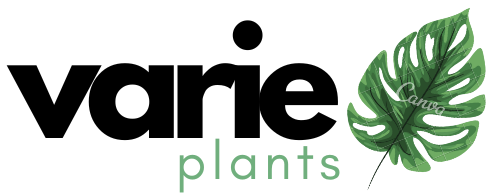 varie plants